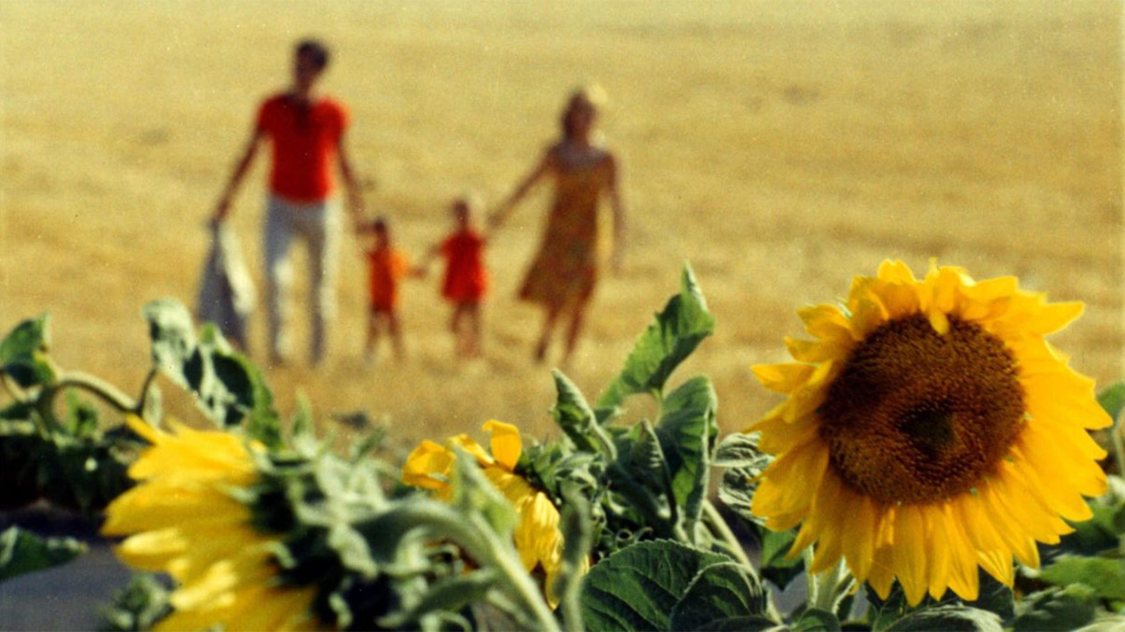 Nouvelles Femmes: Le Bonheur (Happiness)